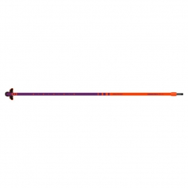 NEIL PRYDE CARBON PRO 26E 2026