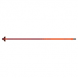 NEIL PRYDE ATEC 28 2026