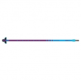 NEIL PRYDE CARBON 25 2026