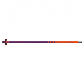 NEIL PRYDE CARBON PRO 25 2026